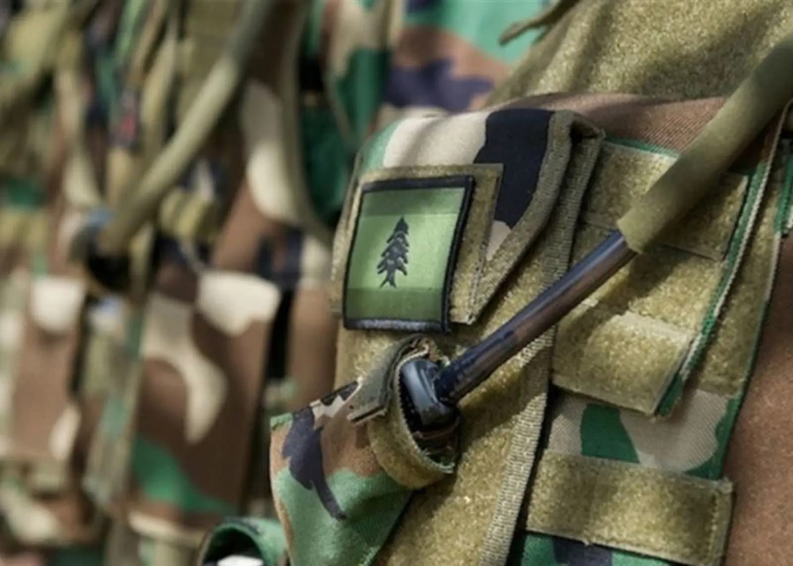 "في الشراونة".. الجيش ينفذ عمليات دهم