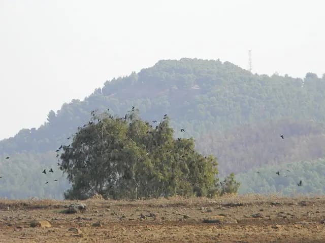بسبب صواريخ "الحزب".. المستوطنون مُحاصرون!