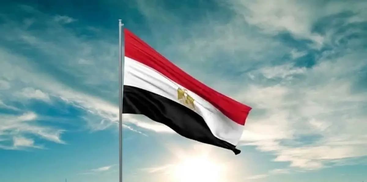 محاولة تهريب عملات أثرية عبر المطار في مصر !