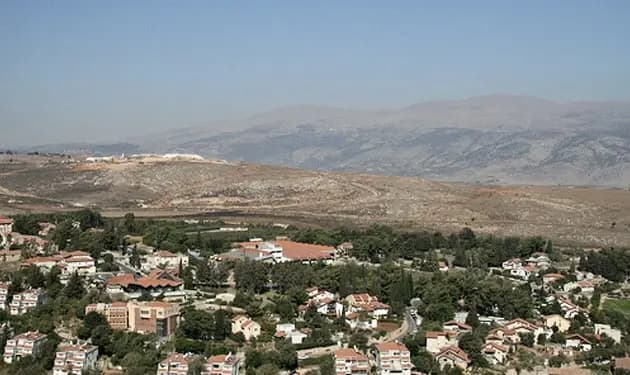 طيران العدو يستهدف الوزاني