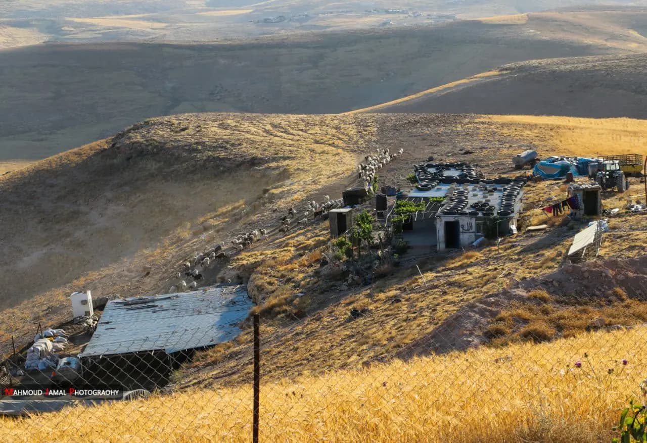 على وين يا مسافر؟ 1200 فلسطيني مهددون بالتهجير في "مسافر يطا"