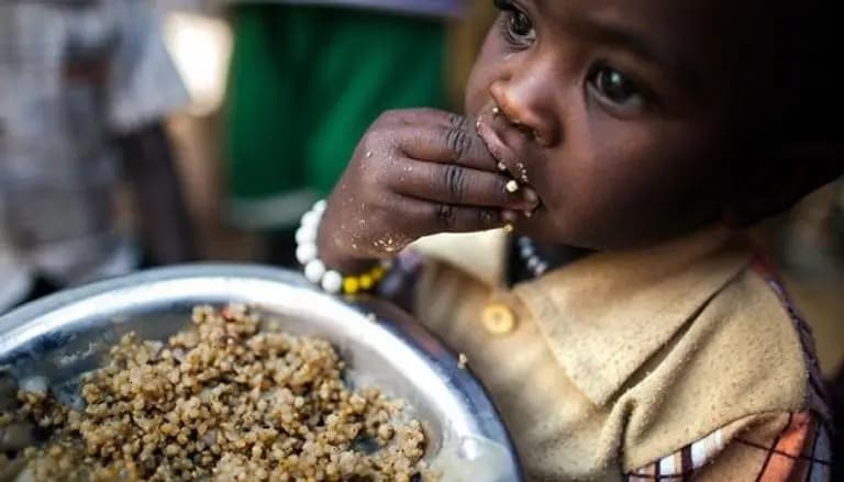 المجاعة تطرق أبواب السودان: نصف السكان محرومون من الغذاء والتعليم والسلاح أكثر من الطعام