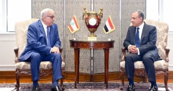 بو حبيب: نشكر مصر على وقوفها الدائم بجانب لبنان