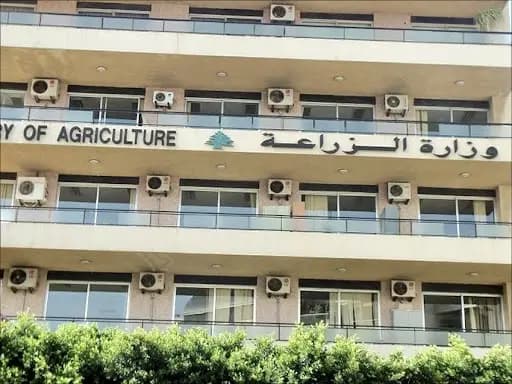 "الزراعة": نعتبر سلامة الغذاء أولى أولوياتنا