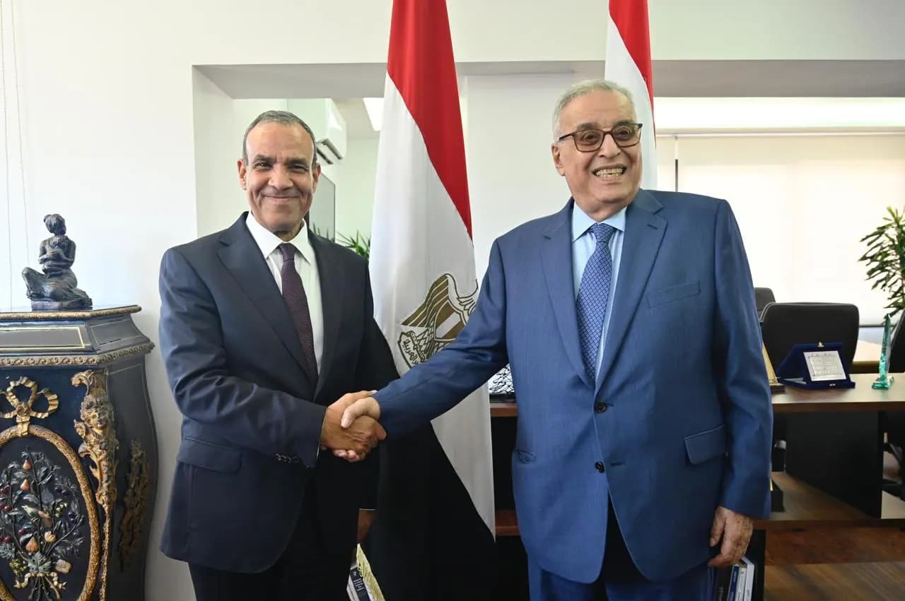 بو حبيب وعبد العاطي يؤكدان على تنفيذ 1701