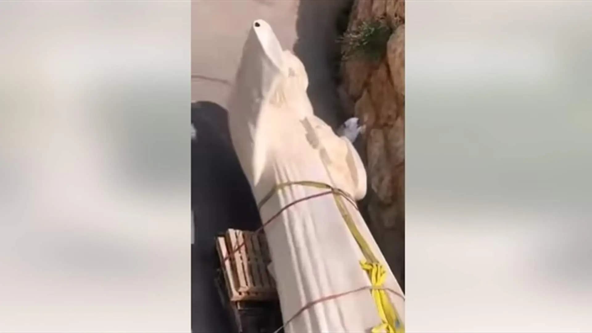 بعد رحلة دامت 7 أيام.. وصل تمثال القديس شربل