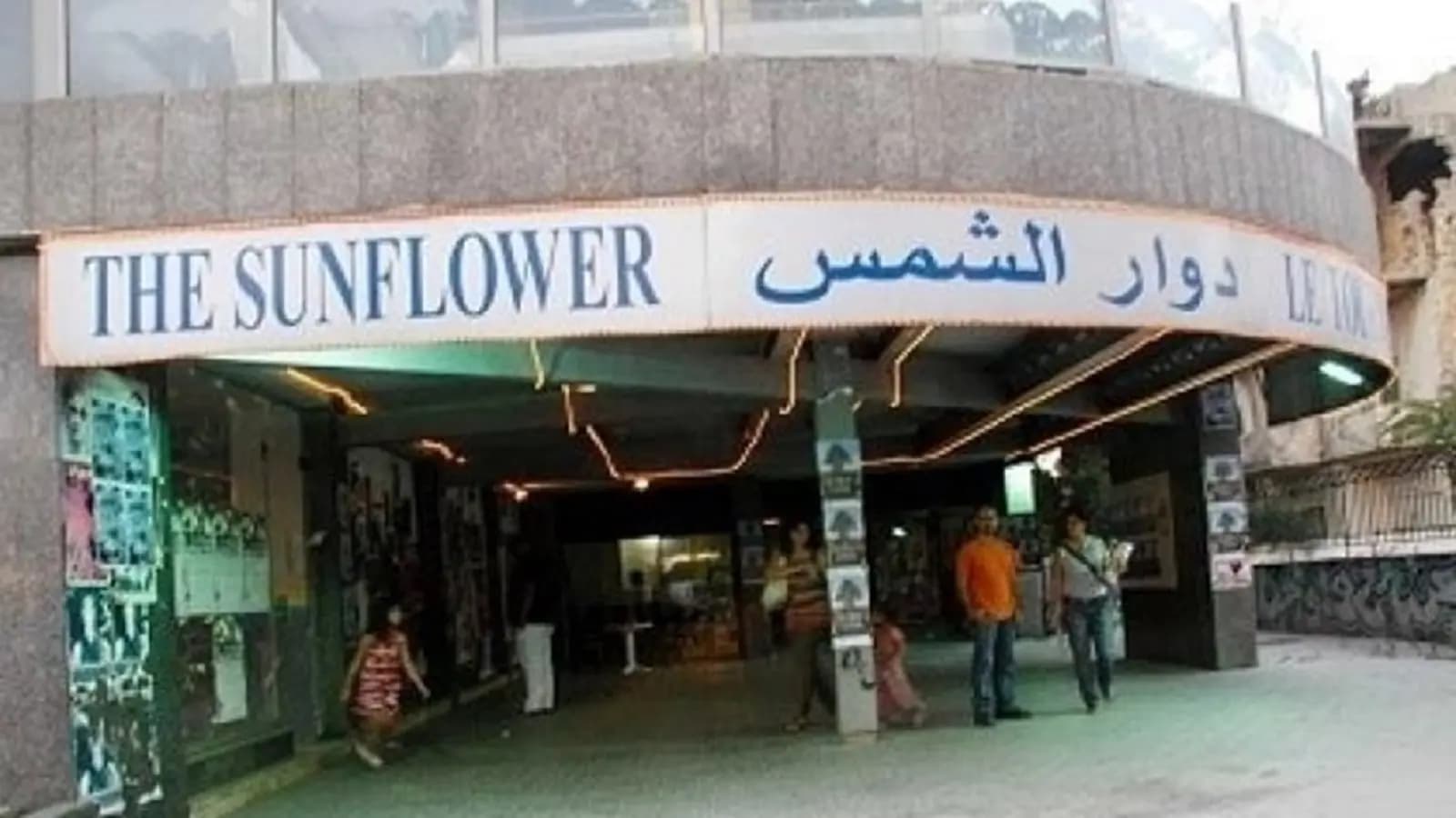 دوّار الشمس راجع!