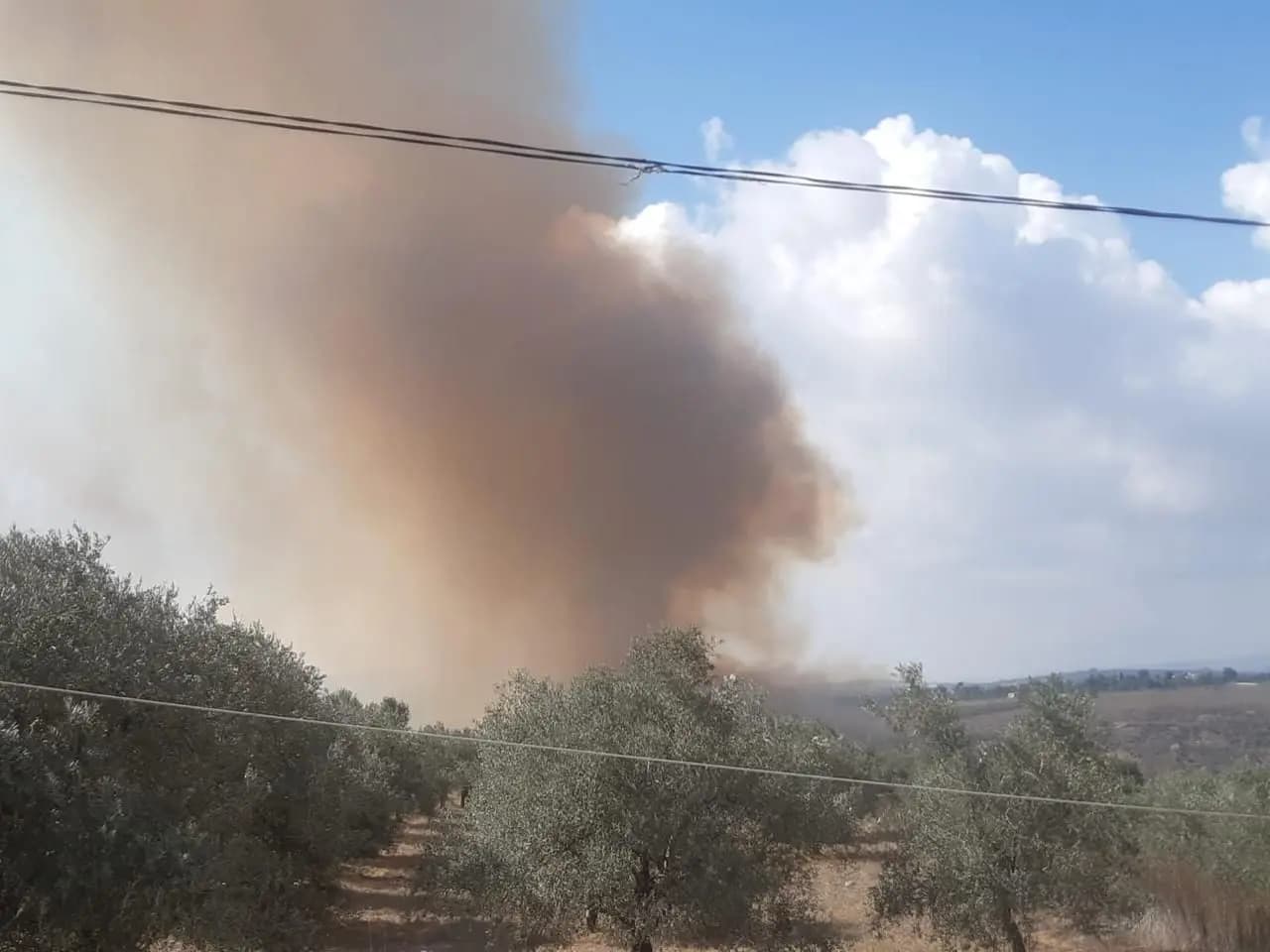 العدو يمعن بحرق الأحراج جنوبًا.. الدّور على هذه البلدة