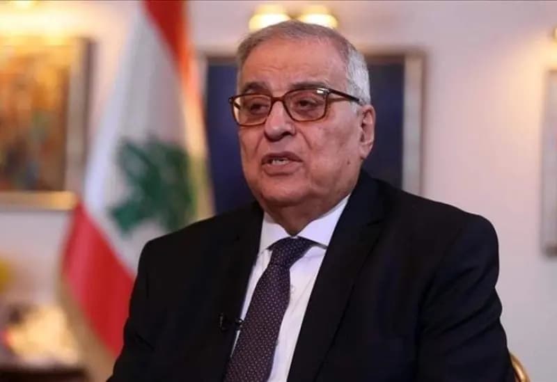 بو حبيب يبحث مع سفيرة اليونان آخر التطورات