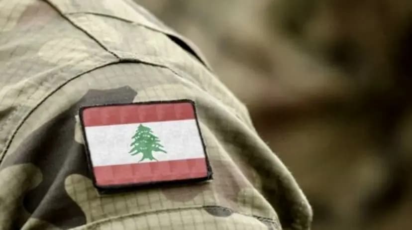 "في مخبأ سري".. الجيش يقبض على رئيس العصابة