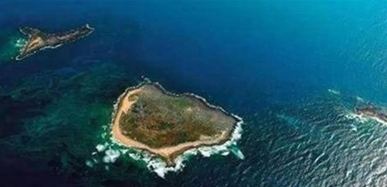 على ماذا عثر أحد الصيادين في "بحر الميناء".. ولماذا حضر الجيش؟