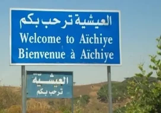 انقلاب شاحنة على طريق العيشية.. هل نجا سائقها؟