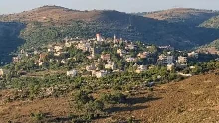إليكم حصيلة الجرحى في الغارة على حانين