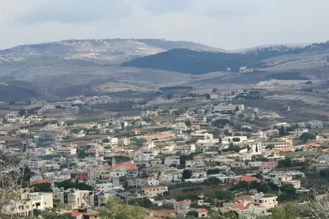 "جريدية" لم يجد ما يأكله.. فهاجم طفلة