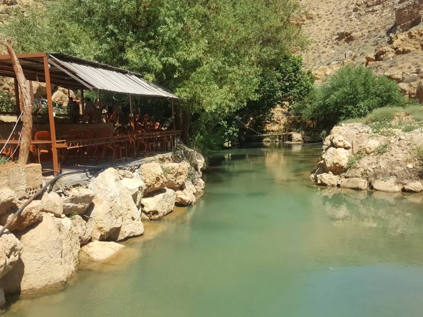 "الكوليرا تتفشى".. ومصلحة الليطاني تحذر