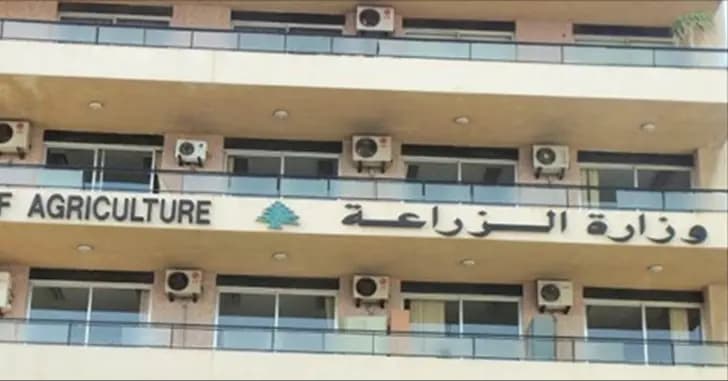 "الزراعة" تتضامن مع أهل الجنوب.. وهذا ما قررته