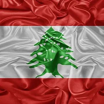 البيت الأبيض: لا نريد أن نرى لبنان يتحول إلى غزة
