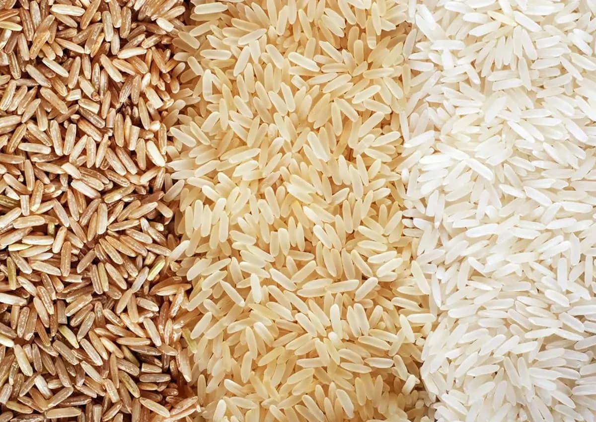 للأرز أنواع عدة".. تعرفوا على فوائدها