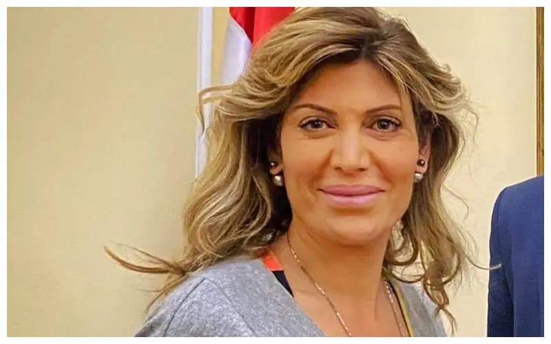 من إيطاليا.. ضاهر: ملتزمون بقرارات المجتمع الدولي ولكن!