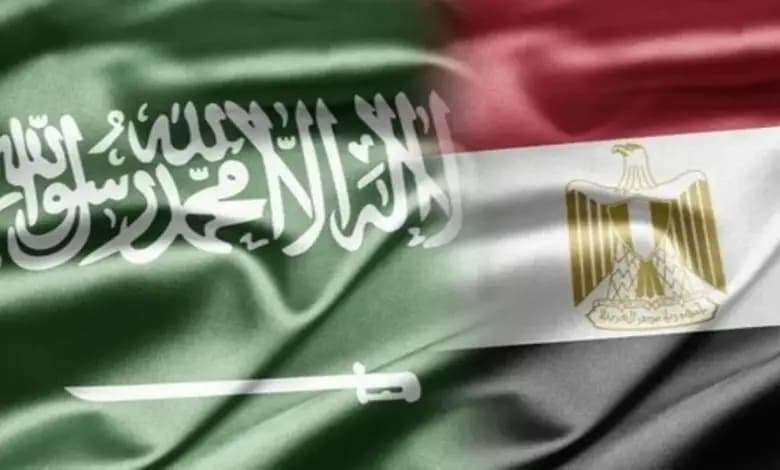 بيان سعودي - مصري مشترك بشأن لبنان
