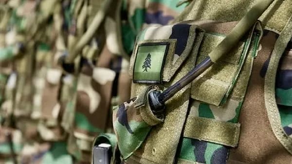 "نوعية وخاطفة".. الجيش ينفذ عملية ناجحة