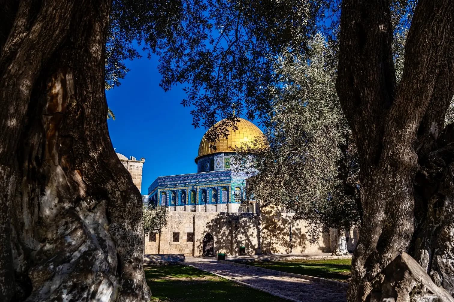حماس تدعو الدول العربية لتحمل مسؤوليتها تجاه مدينة القدس