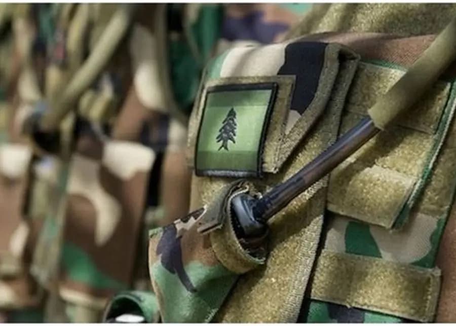 لارتكابهم جرائم مختلفة.. الجيش يوقف 30 شخصًا