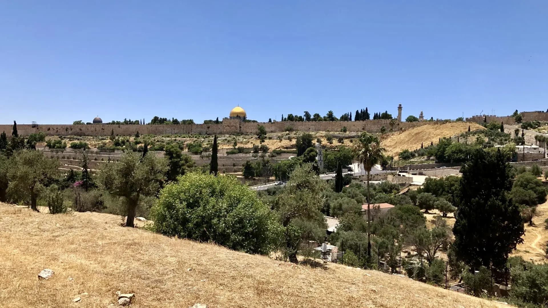العدو يحتل 55 دونماً شمال القدس