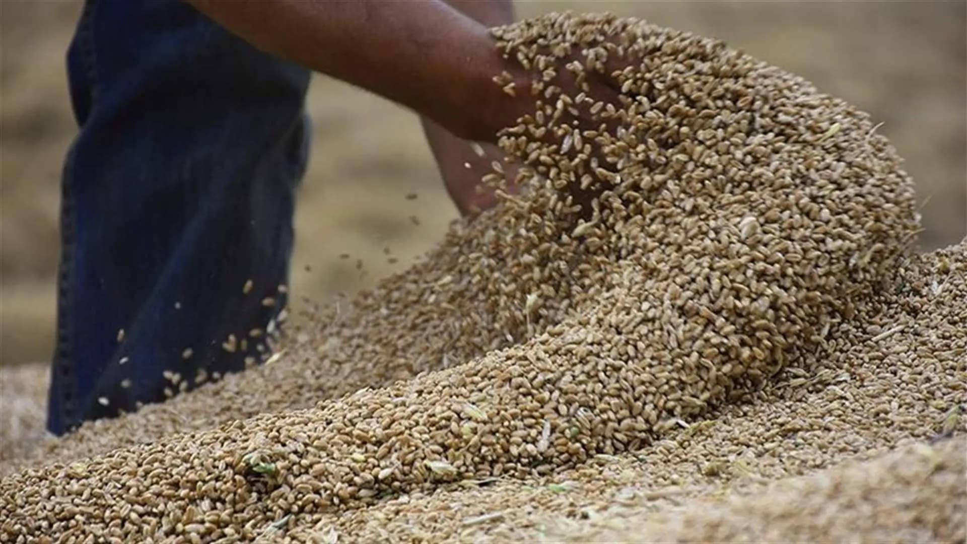 بين موسكو وكييف.. ما مصير الإمدادات لسوريا؟