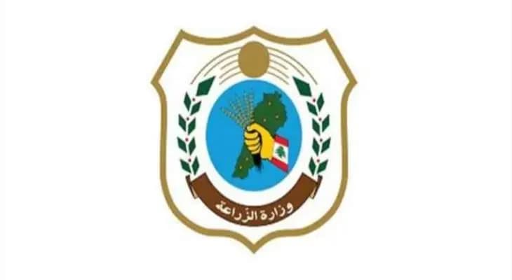 ما حقيقة انتشار الأمراض بين الطيور في عكار؟