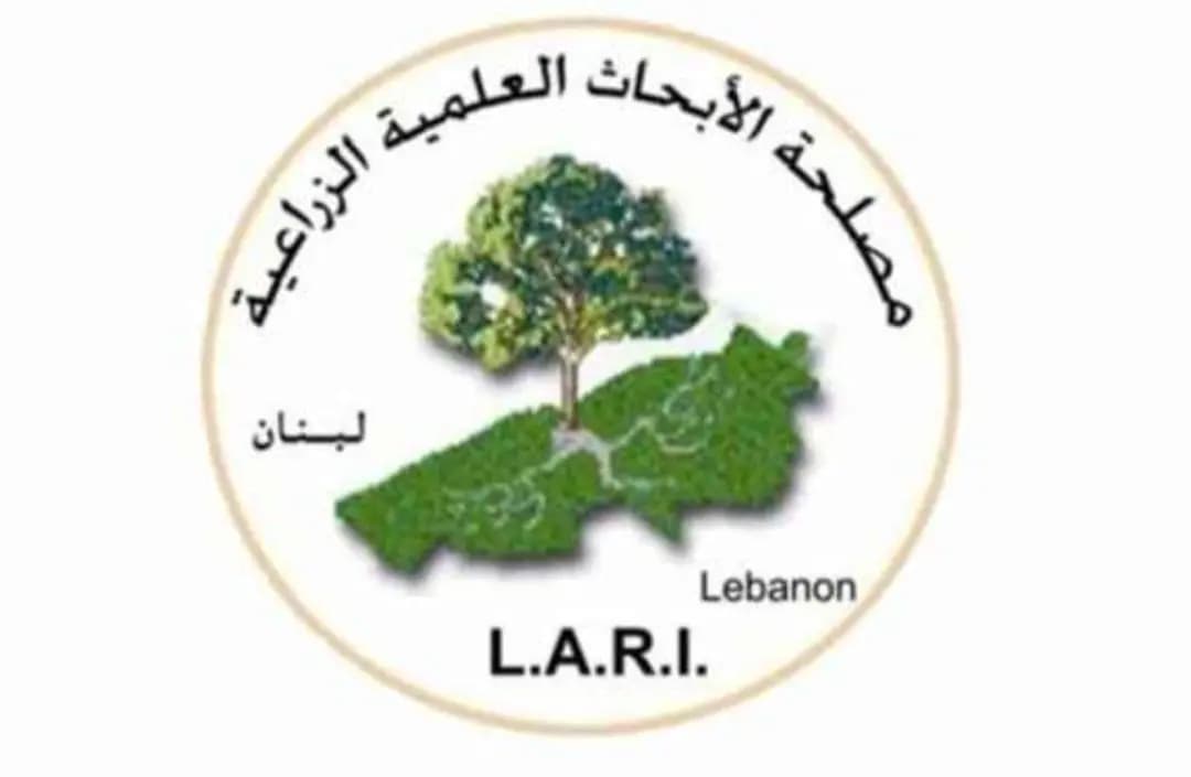 مصلحة الأبحاث الزراعية نشرت عدداً من الإجراءات للتقيّد بها في حال تهدم الإهراءات