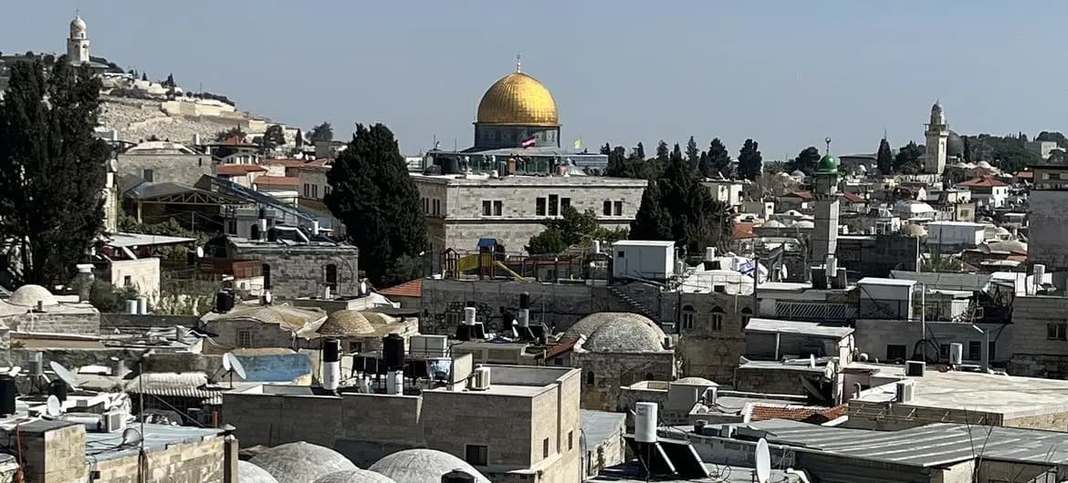 المجلس النرويجي للاجئين: حكومة إسرائيل تعمل بلا ضوابط