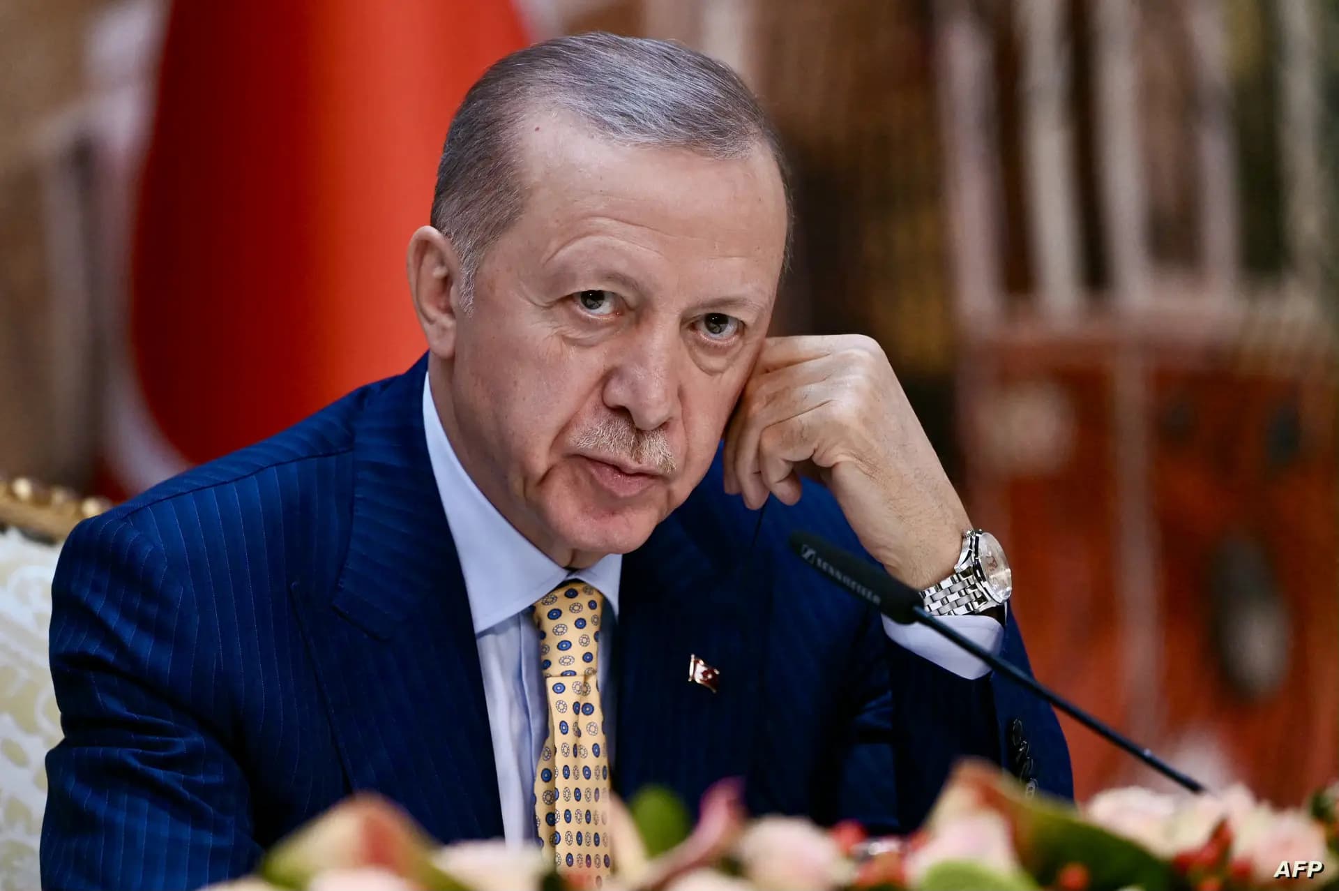 أردوغان: سنقدم كل الدعم اللازم لتحقيق السلام في سوريا