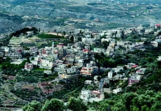 بعد الإشكال الكبير في بلدة قانا.. هذا ما فعله الشبان