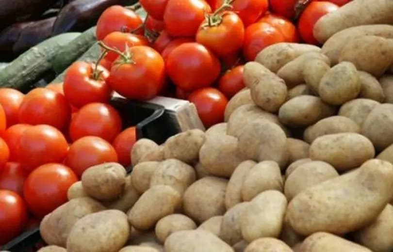 بشأن المنتجات الزراعية المهربة.. تحذير من الترشيشي