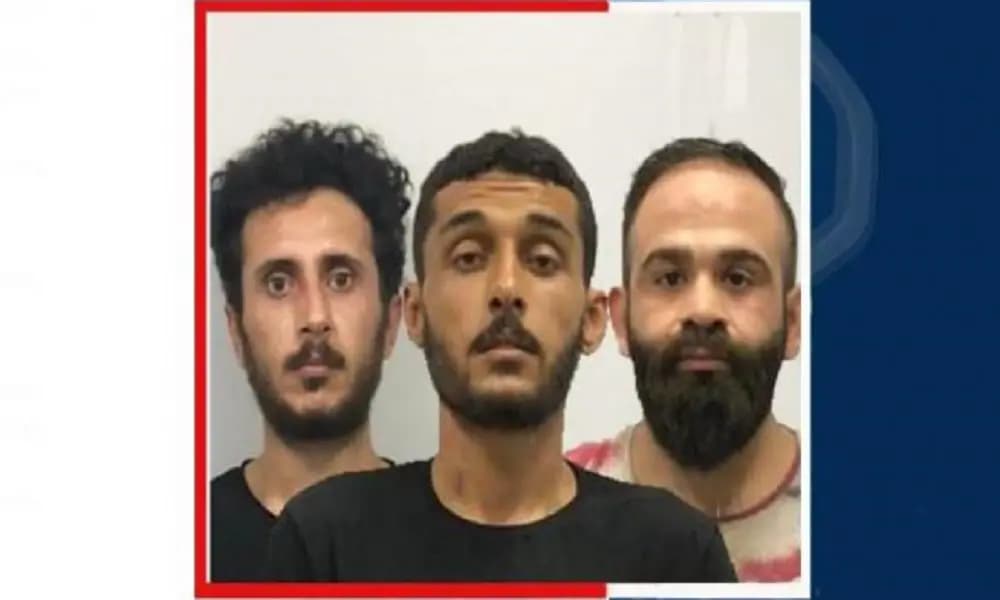 توقيف عصابة محترفة في النّصبِ والاحتيالِ