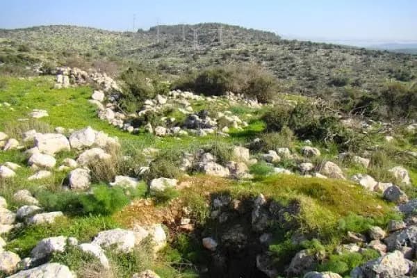 في البريج.. عثروا عليه جثة هامدة داخل مكان عمله