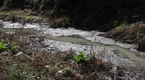 لبنان يواجه الجفاف بخطة وطنية رائدة