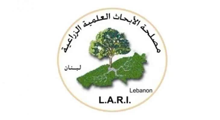 موجة الحر تبدأ في 17 آب وتستمرّ!