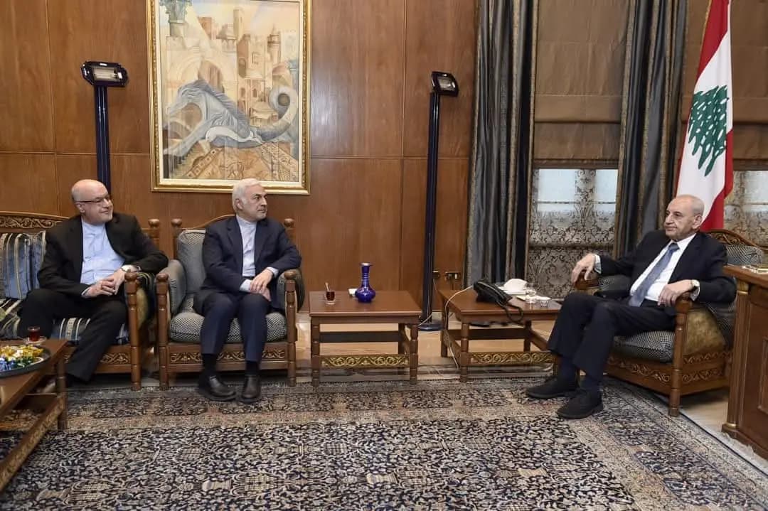 الأوضاع في لبنان والمنطقة بين بري وزادة