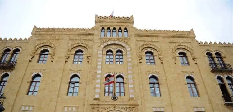"بعد حادثة تسميم الكلاب الشاردة".. بلدية بيروت تتحرك