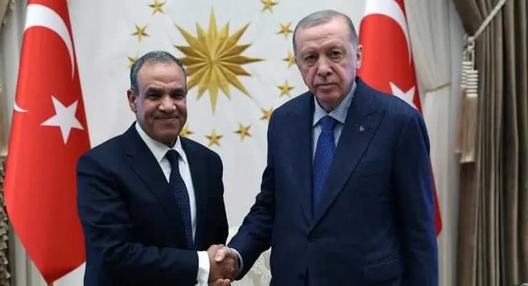 عبد العاطي ينقل رسالة السيسي إلى أردوغان