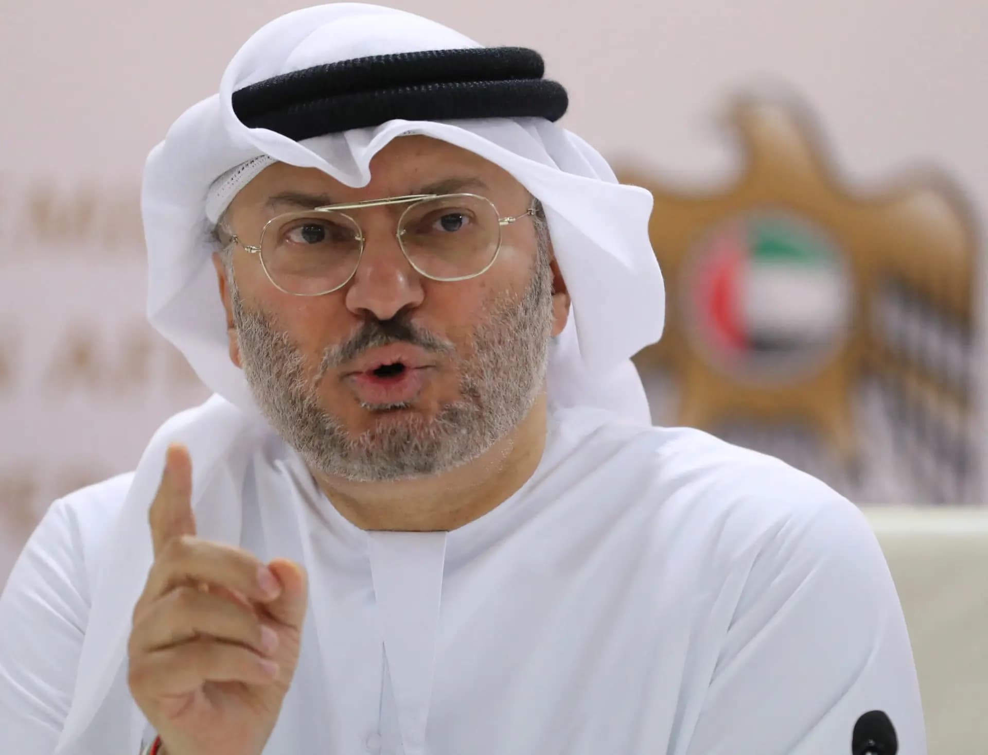 قرقاش: النظام العربي المعتدل ضمانة لحماية سيادة الدول