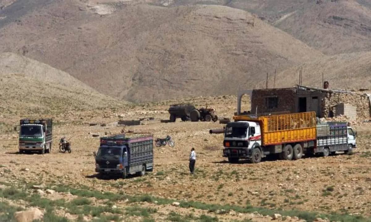الزيت والدجاج والمحروقات تُهرّب عبر الحدود.. والقوى الأمنية تتحرّك