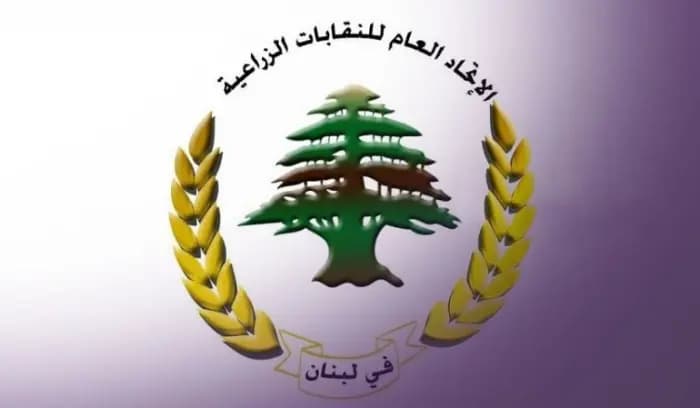 رئيس اتحاد نقابات المزارعين: مشكلة انقطاع الكهرباء بلغت حدا لا يمكن تحمله