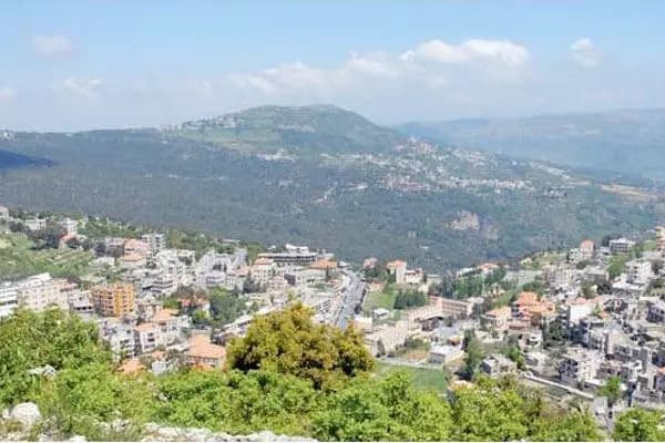 في جزين.. نزعوا تمثال السيدة العذراء ورموه!
