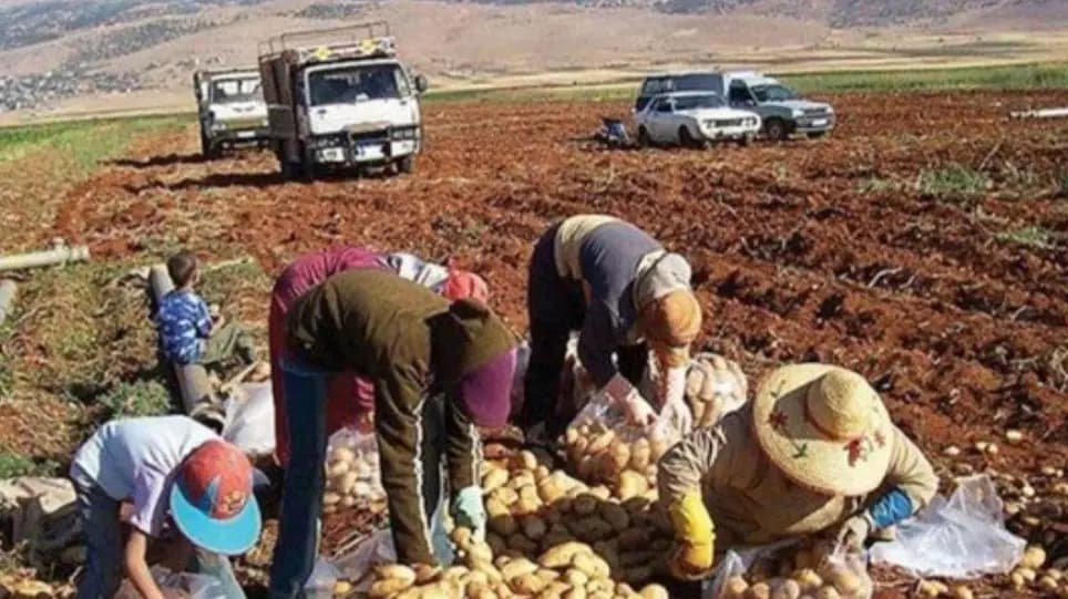 معوقات خارجية وداخلية تقضي على هذا القطاع