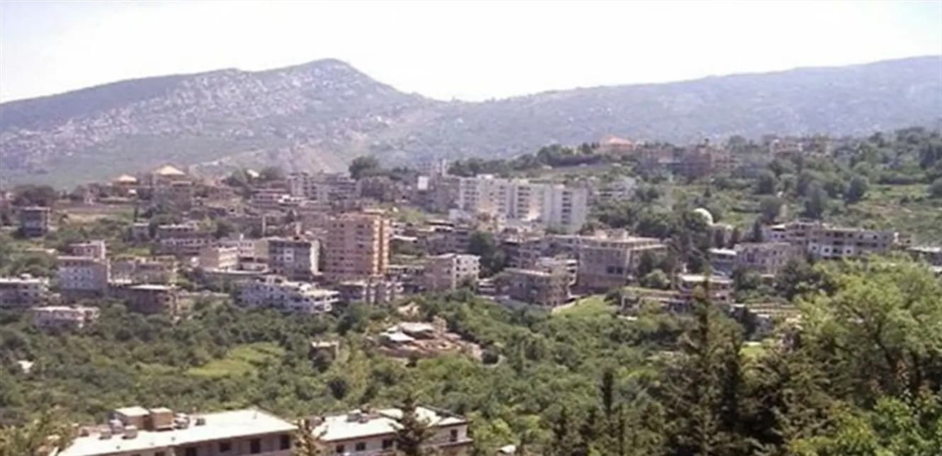 في الضّنيّة... اطلاق نار بين عائلتين