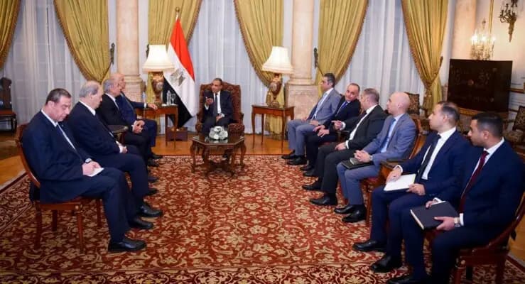 عبد العاطي: نرفض تهجير الفلسطينيين