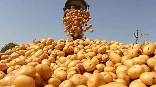 عن تصدير المنتجات الزراعية.. بشرى سعودية مرتقبة